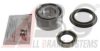 NISSA 432329C500 Wheel Bearing Kit